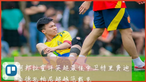 阿邦拉霍评英超最佳中卫特里费迪南德孔帕尼超越范戴克