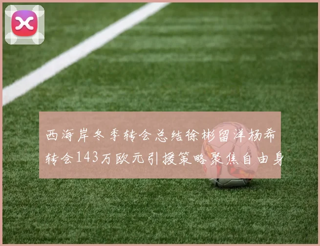 西海岸冬季转会总结徐彬留洋杨希转会143万欧元引援策略聚焦自由身球员