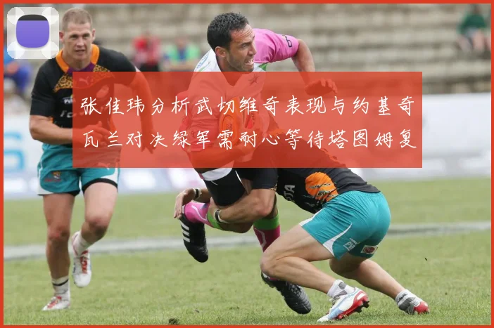 张佳玮分析武切维奇表现与约基奇瓦兰对决绿军需耐心等待塔图姆复出