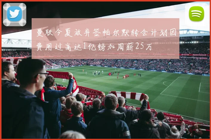 曼联今夏放弃签帕尔默转会计划因费用过高达1亿镑加周薪25万