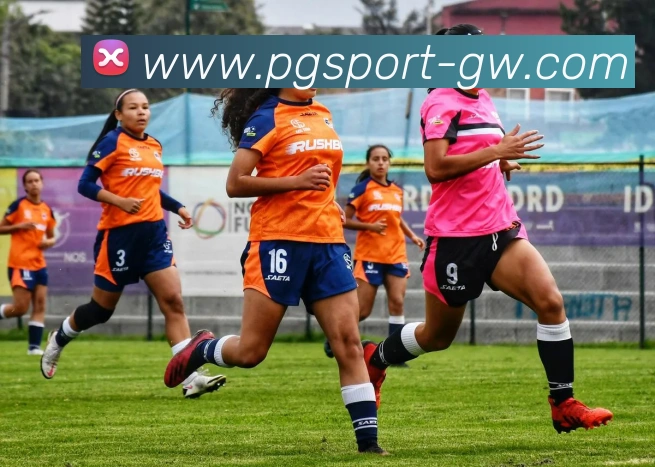 麻将胡了平台生态图